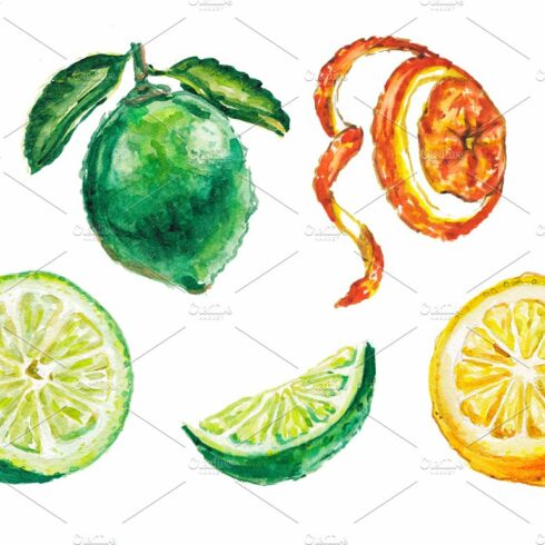 Watercolor citrus illustration cover image.
