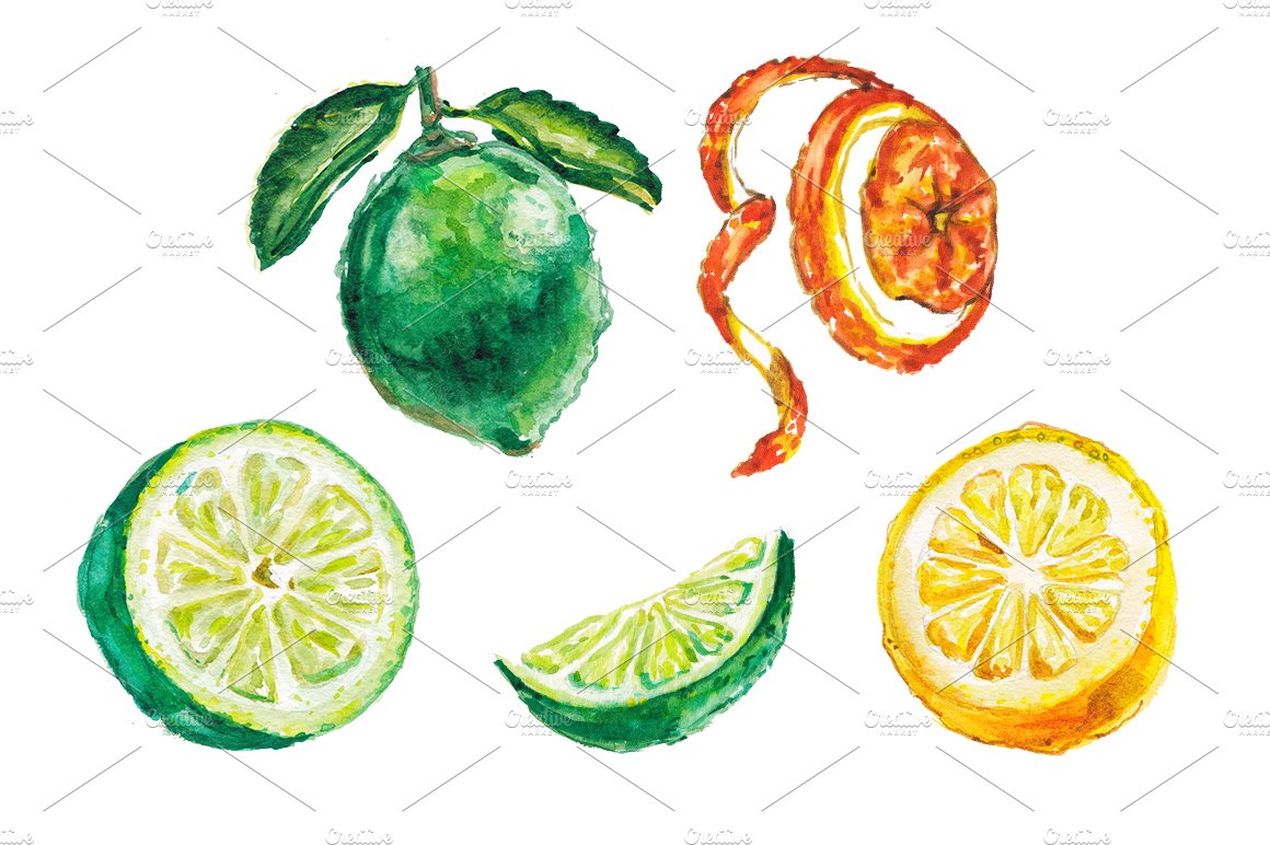 Watercolor citrus illustration cover image.