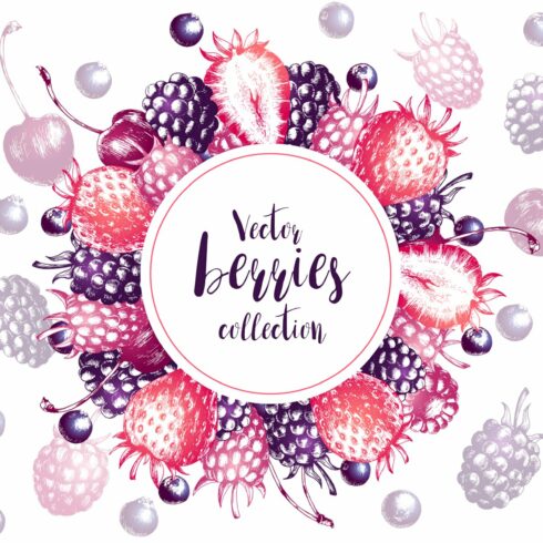 Vector berries collection cover image.