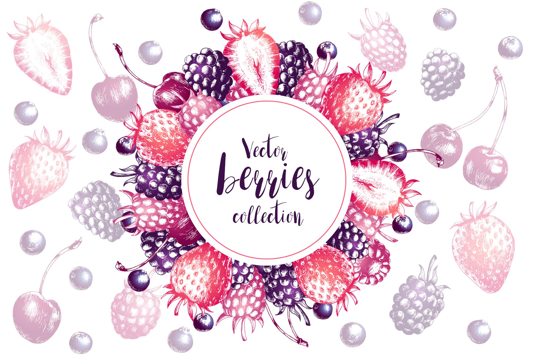 Vector berries collection cover image.