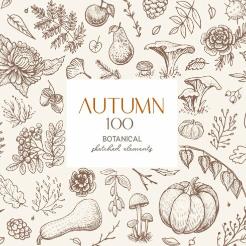 Autumn botanical sketches cover image.