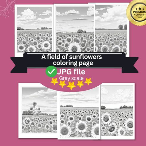 A field of sunflowers with a blue sky and white clouds coloring page 4 cover image.