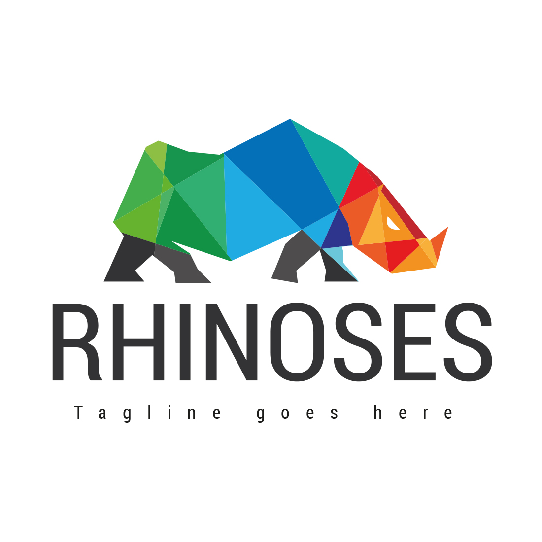 Rhinosorus geometrical logo design cover image.