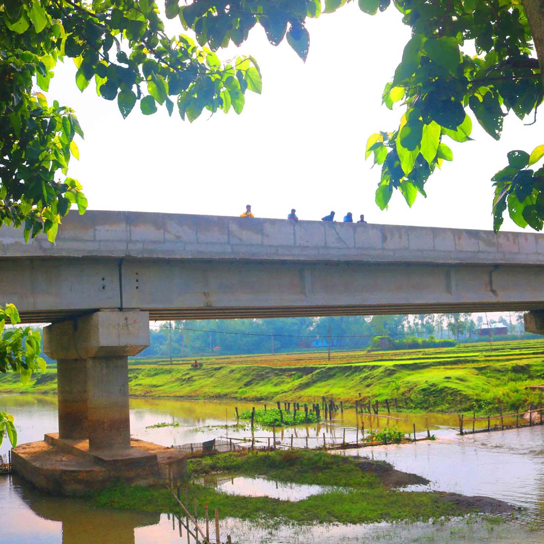 Ghar Tree village people & roads stock photos in Bangladesh Breathtaking preview image.