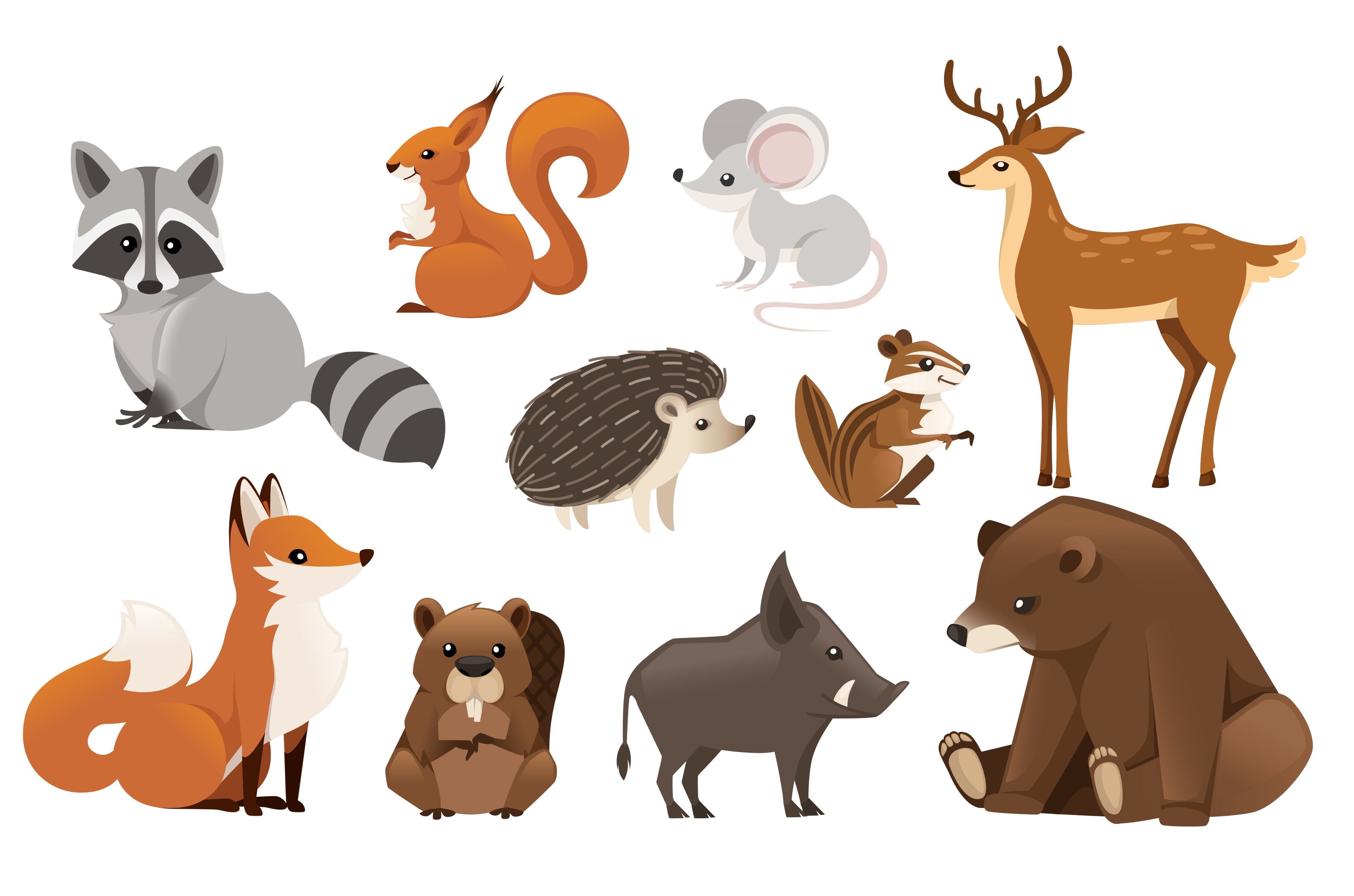 Forest animal set. Colored animal cover image.