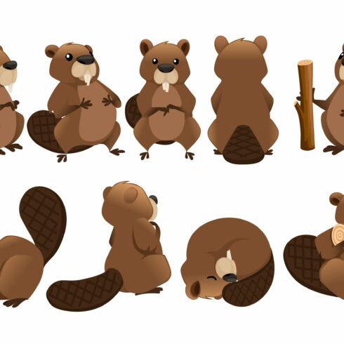 Cute brown beaver icon collection cover image.