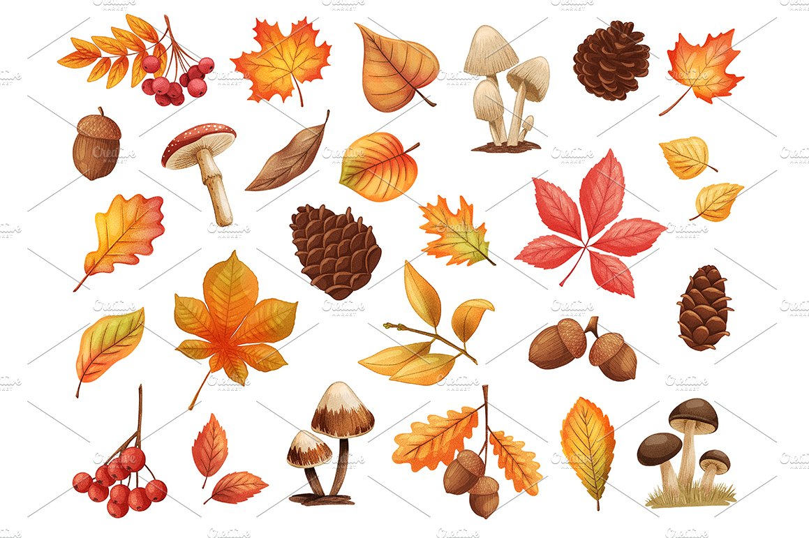 Autumn Leaves and Mushrooms Stickers cover image.