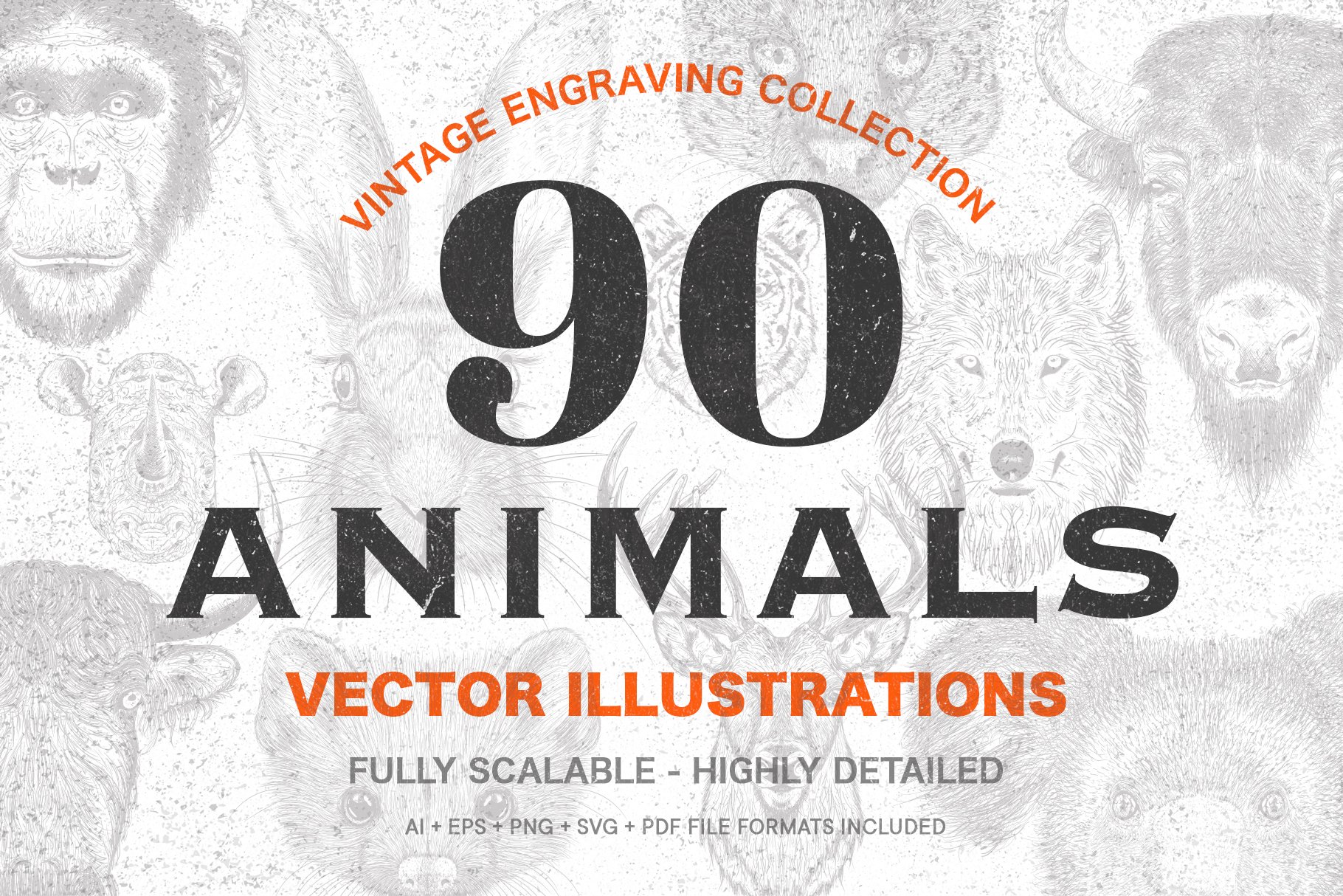 90 Animals Vintage Illustrations cover image.
