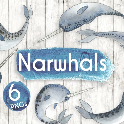 Watercolour Narwhals cover image.