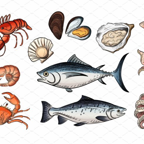 Set of seafood delicacy vector cover image.