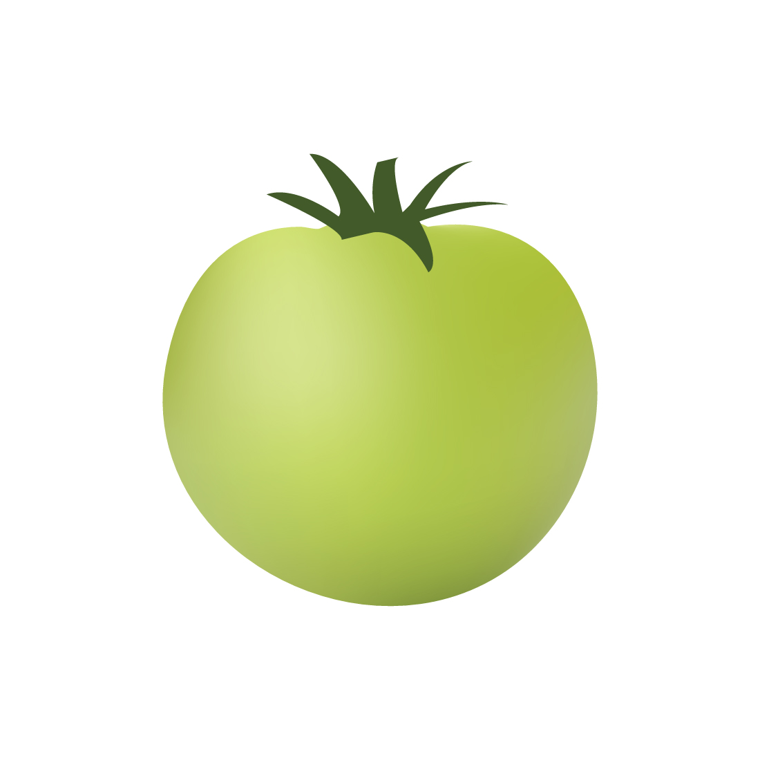 Green Tomato Illustration On White Background preview image.