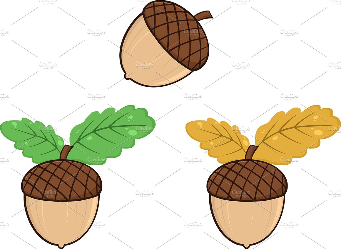 Acorn With Oak Leaves Collection cover image.