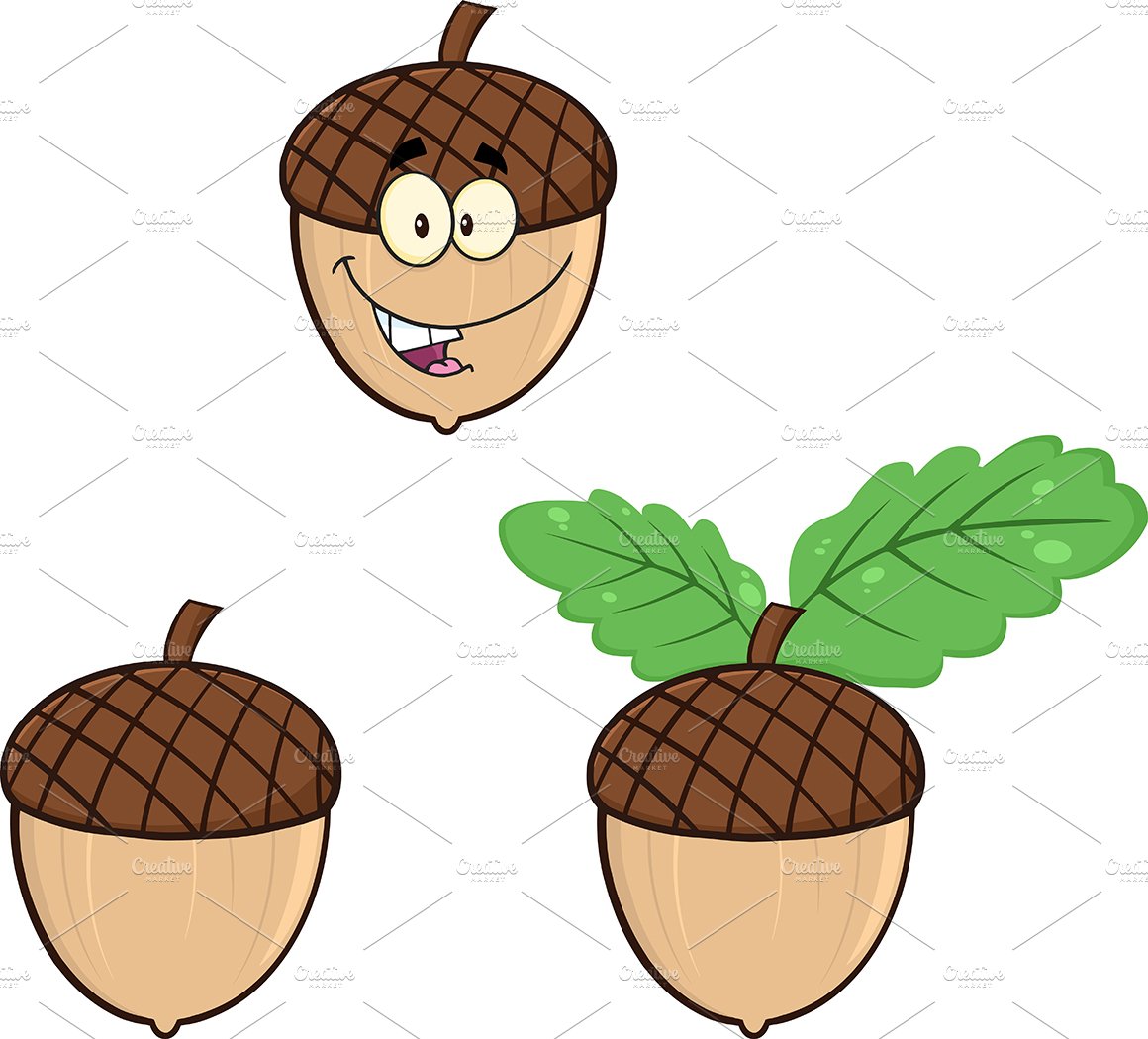 Acorns Cartoon Collection cover image.