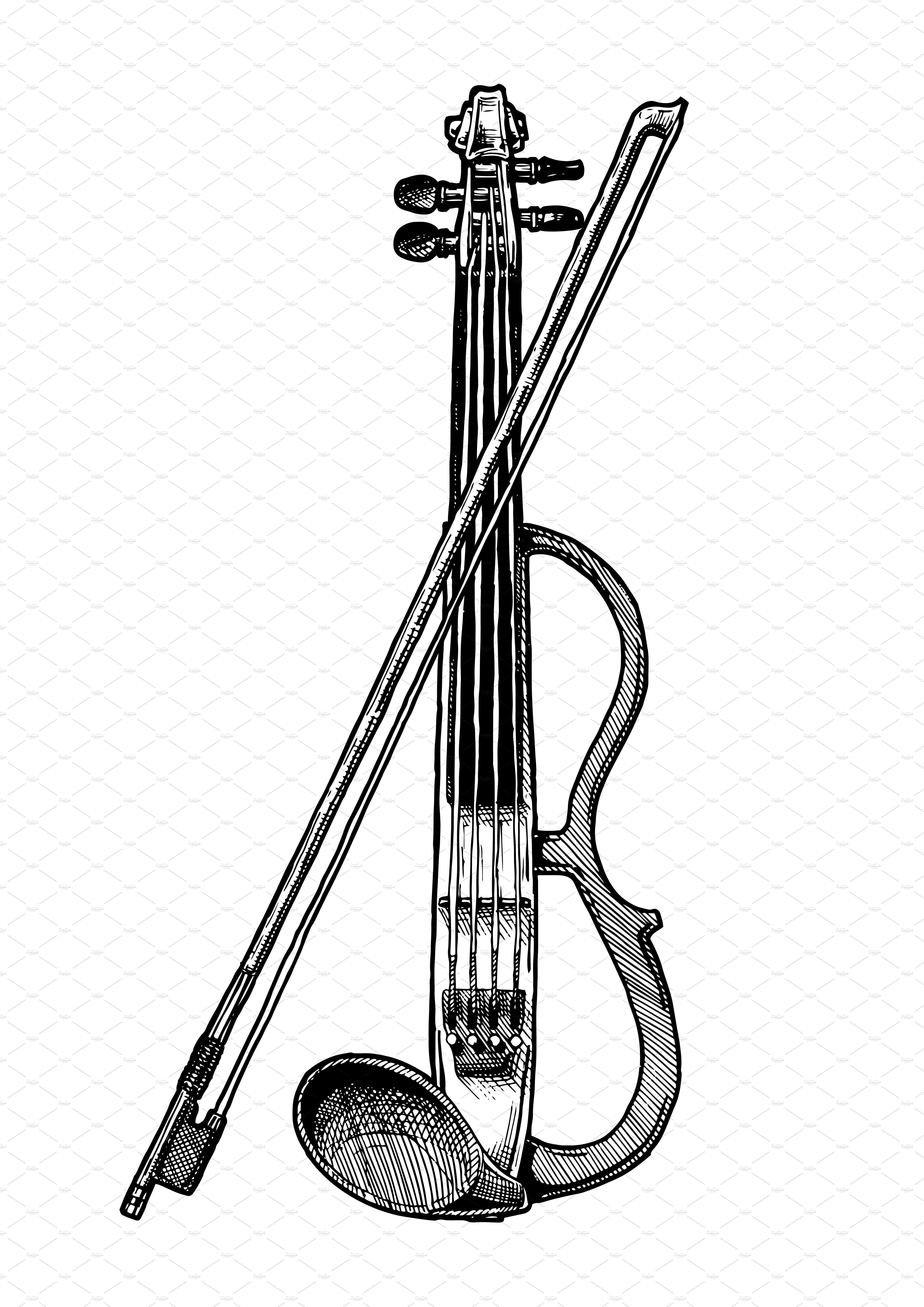 classical and electric violins preview image.