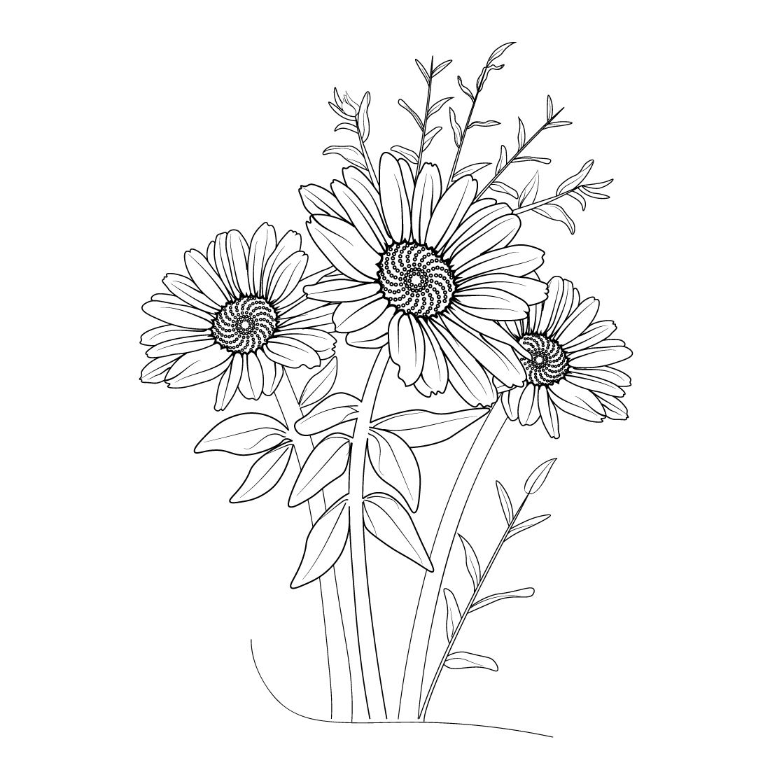 Pencil realistic daisy flower drawing. simple daisy line drawing, daisy