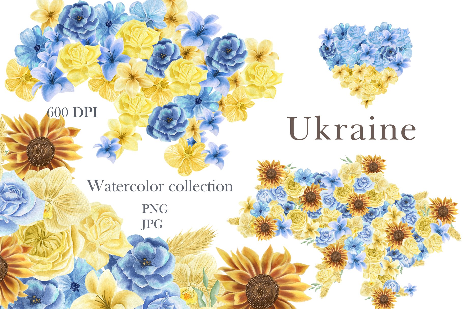 Ukraine watercolor flower collection cover image.