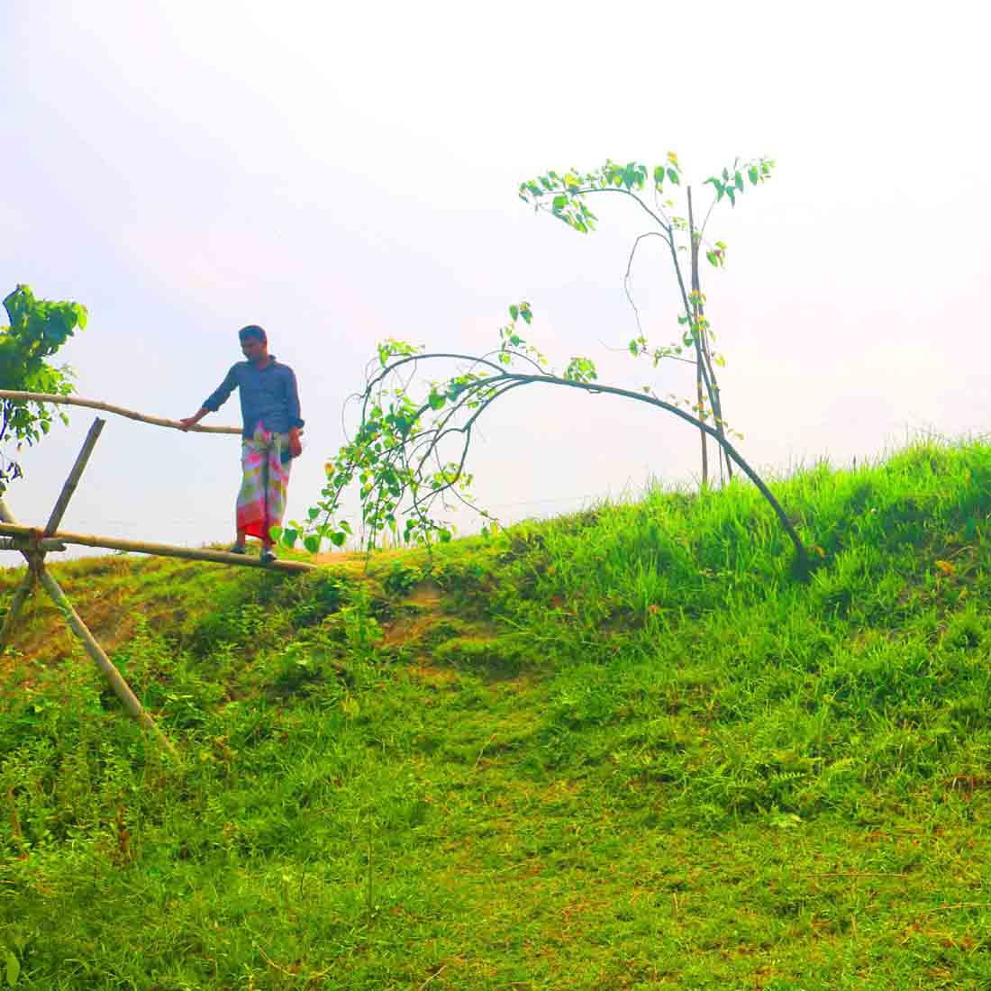 Breathtaking Natural Photography in Bangladesh preview image.