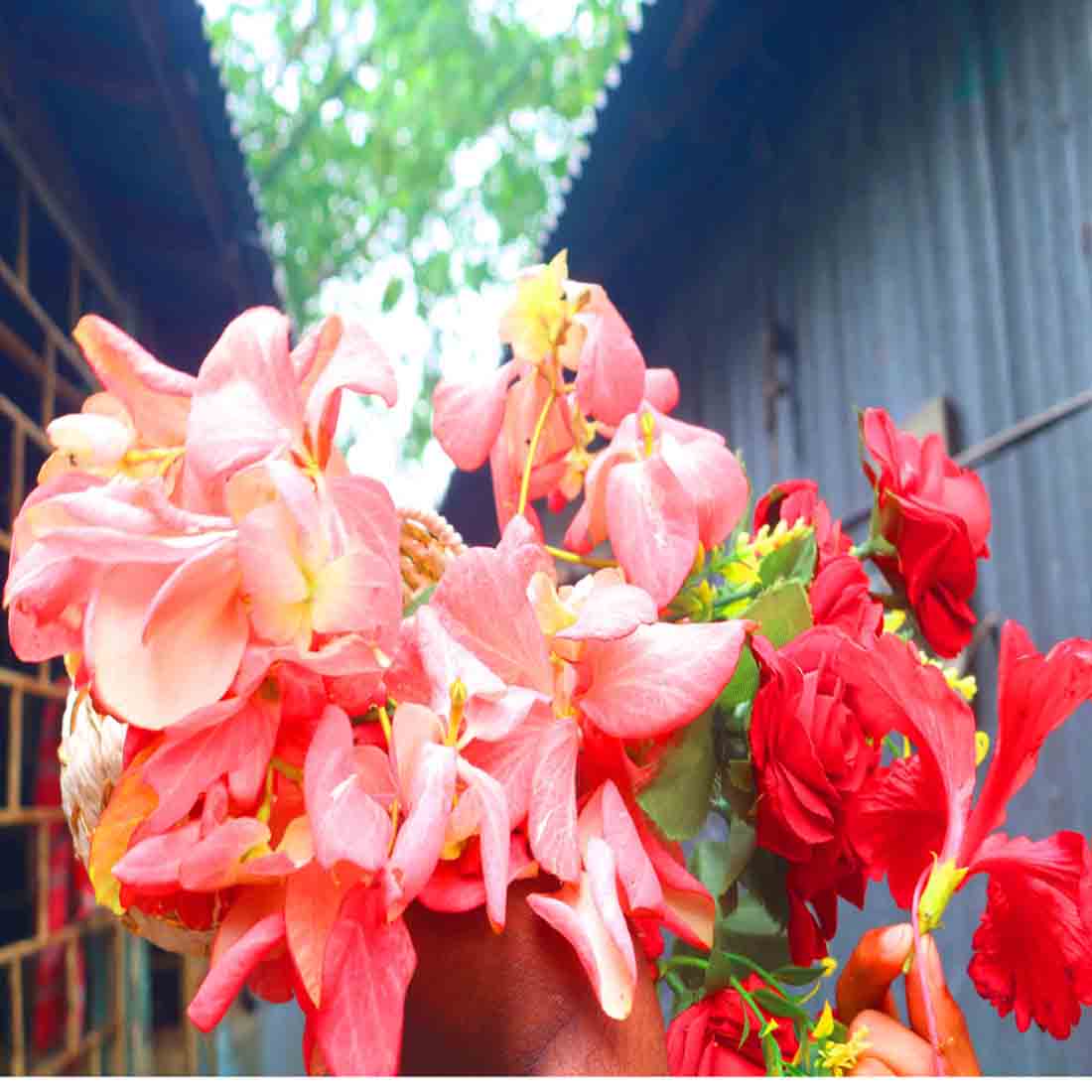 Flower Photography in Bangladesh preview image.