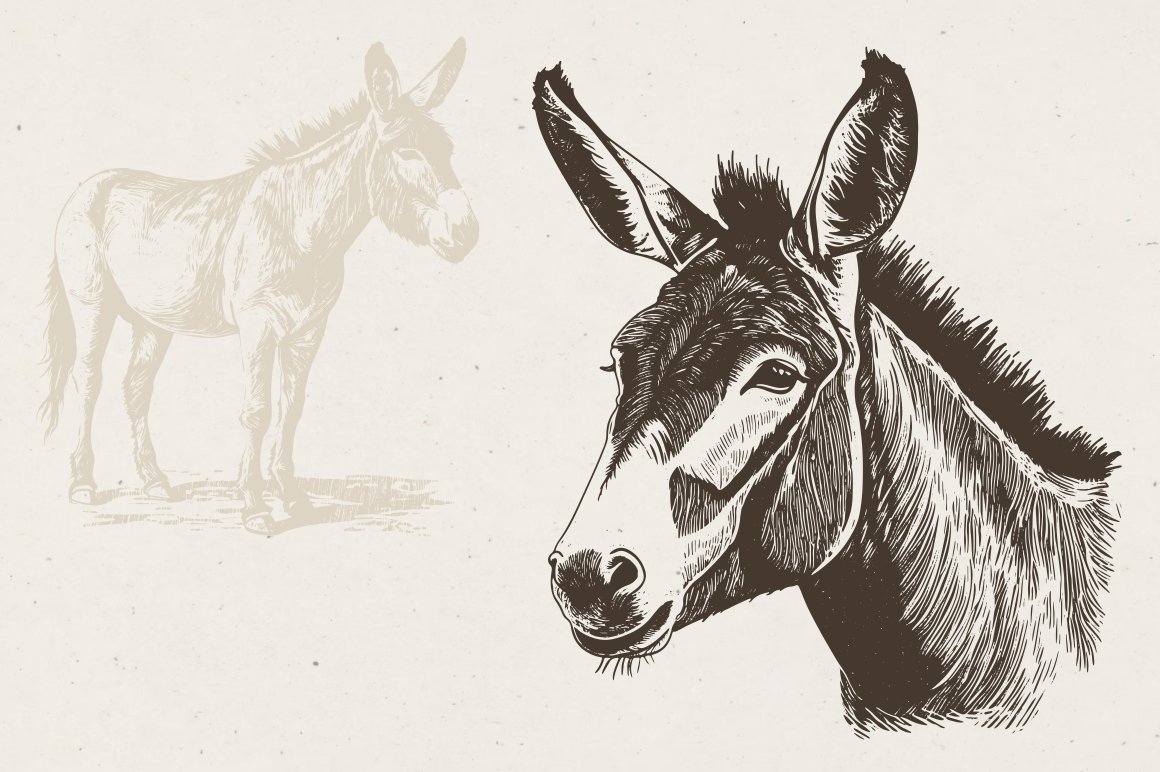 11 farm animals illustrations 255