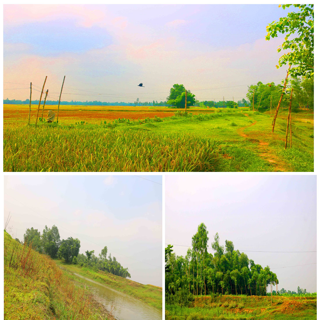 Breathtaking Natural Photography in Bangladesh cover image.