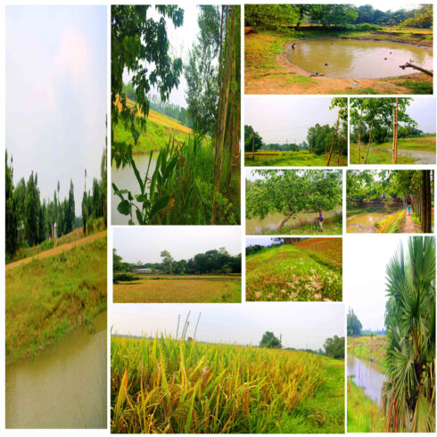 Breathtaking Natural Photography in Bangladesh cover image.