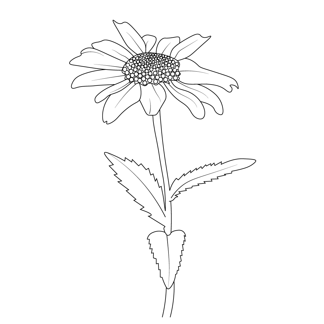 simple minimills daisy flower line drawing, daisy flower drawing for kids cover image.