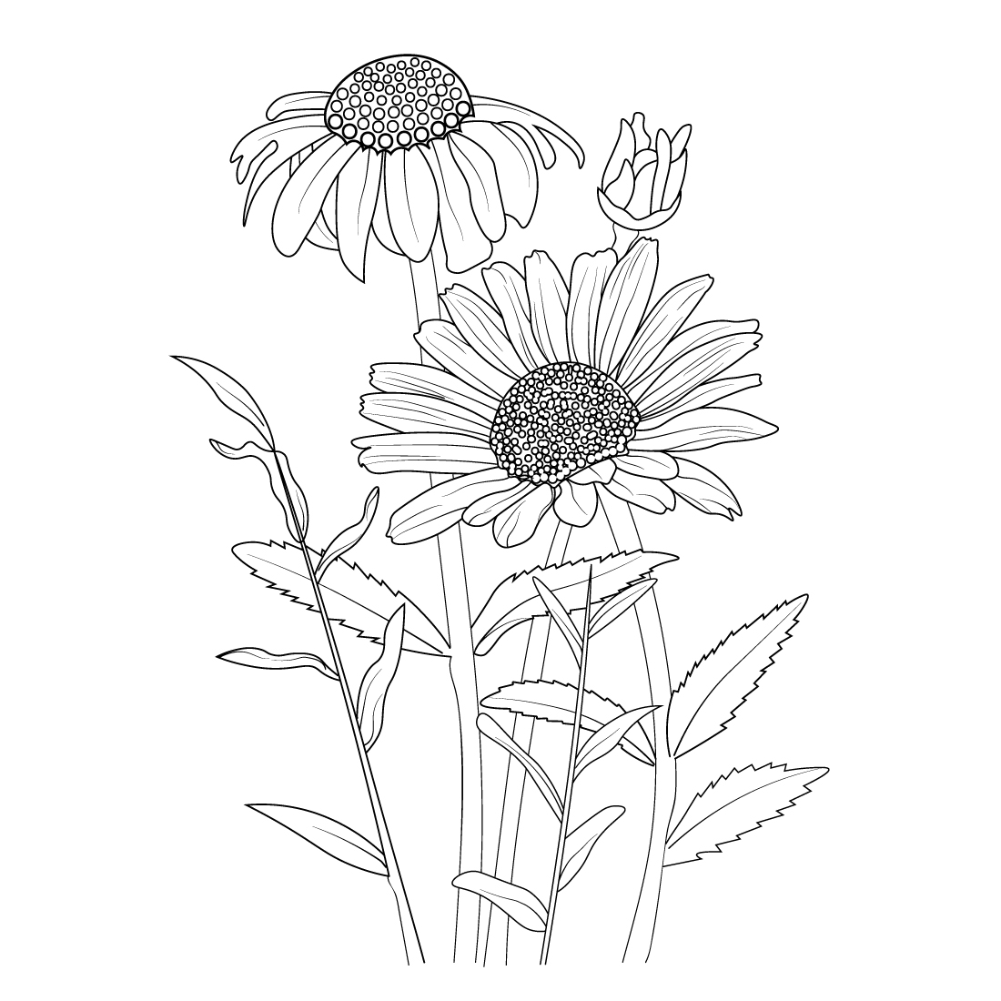 gerbera daisy drawing outline, easy gerbera daisy drawing, outline simple daisy drawing preview image.
