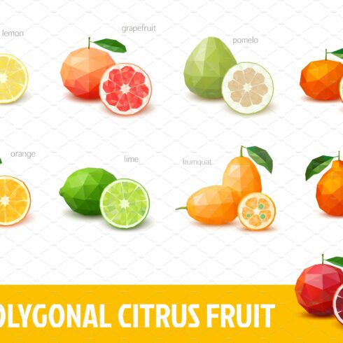 Polygonal citrus fruit cover image.
