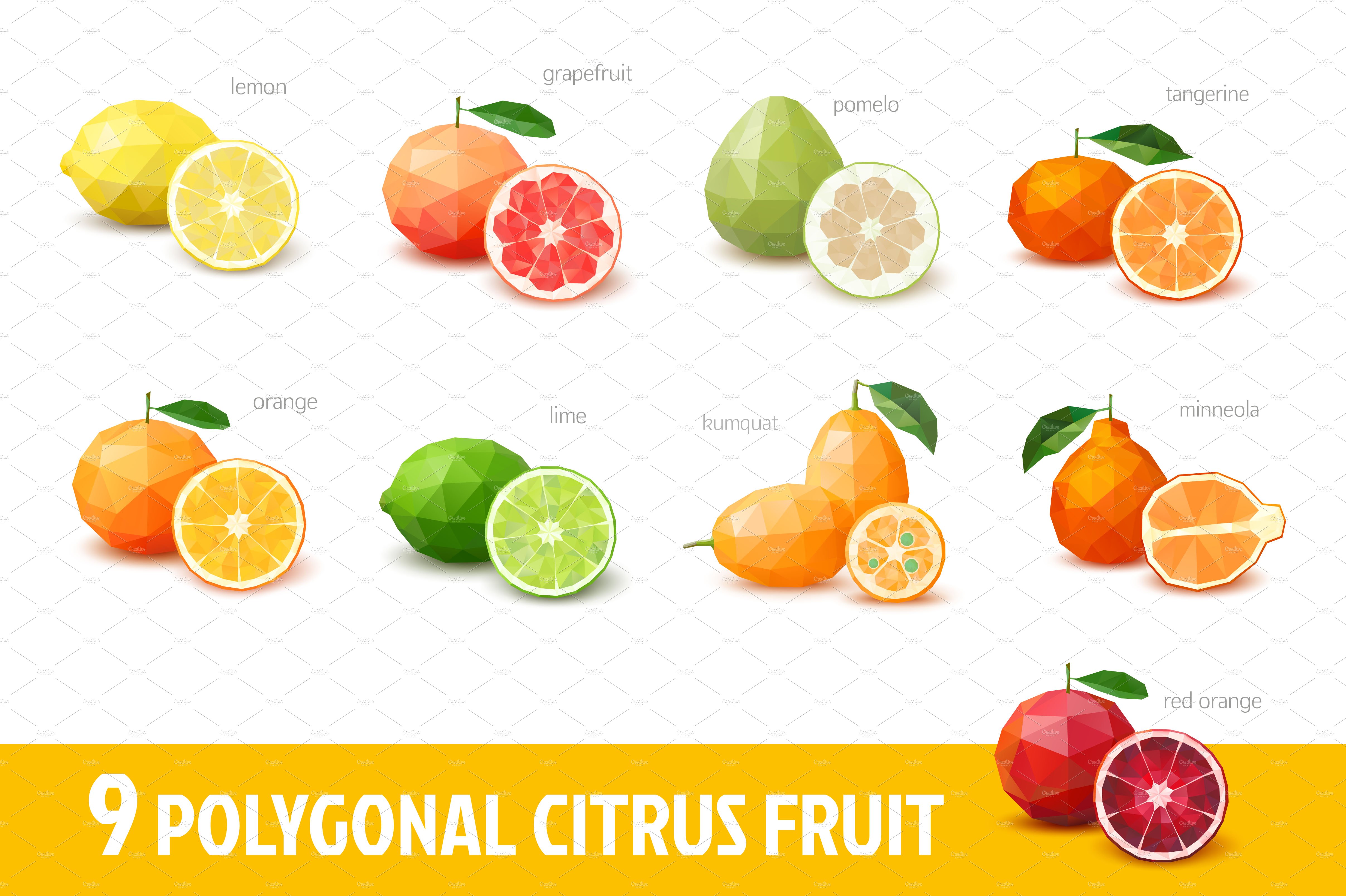 Polygonal citrus fruit cover image.