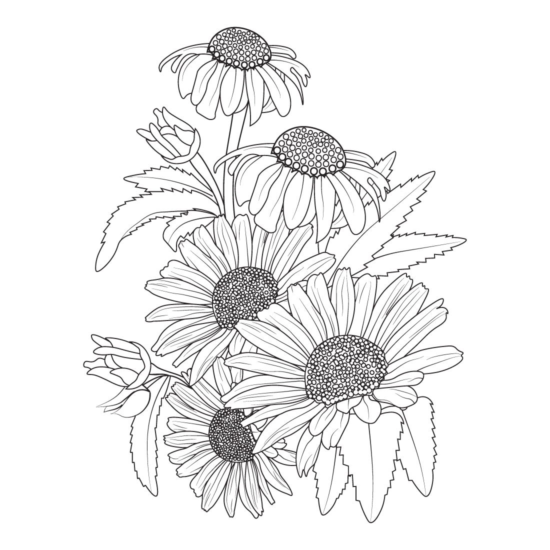 Outline Daisy Flower Drawing, Drawing Daisy Flower Black and White.  Realistic Daisy Flower Drawing, Daisy Flower Drawing. Stock Vector -  Illustration of adobe, demand: 276524996
