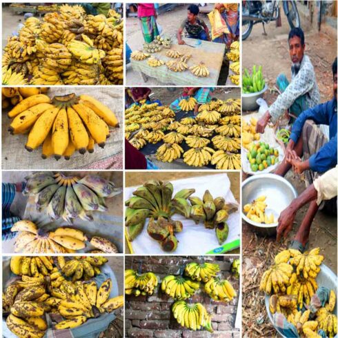 Kola Fruits Photography in Bangladesh cover image.