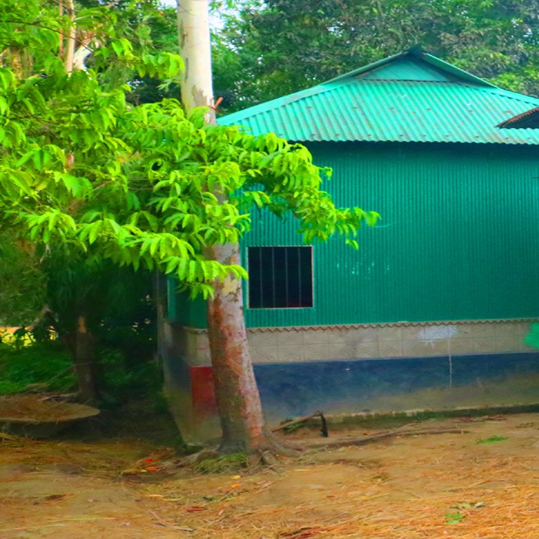 Ghar Tree village people & roads stock photos in Bangladesh preview image.