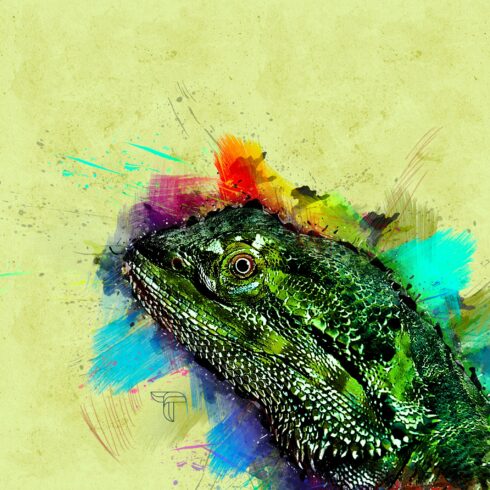 Iguana 12 cover image.