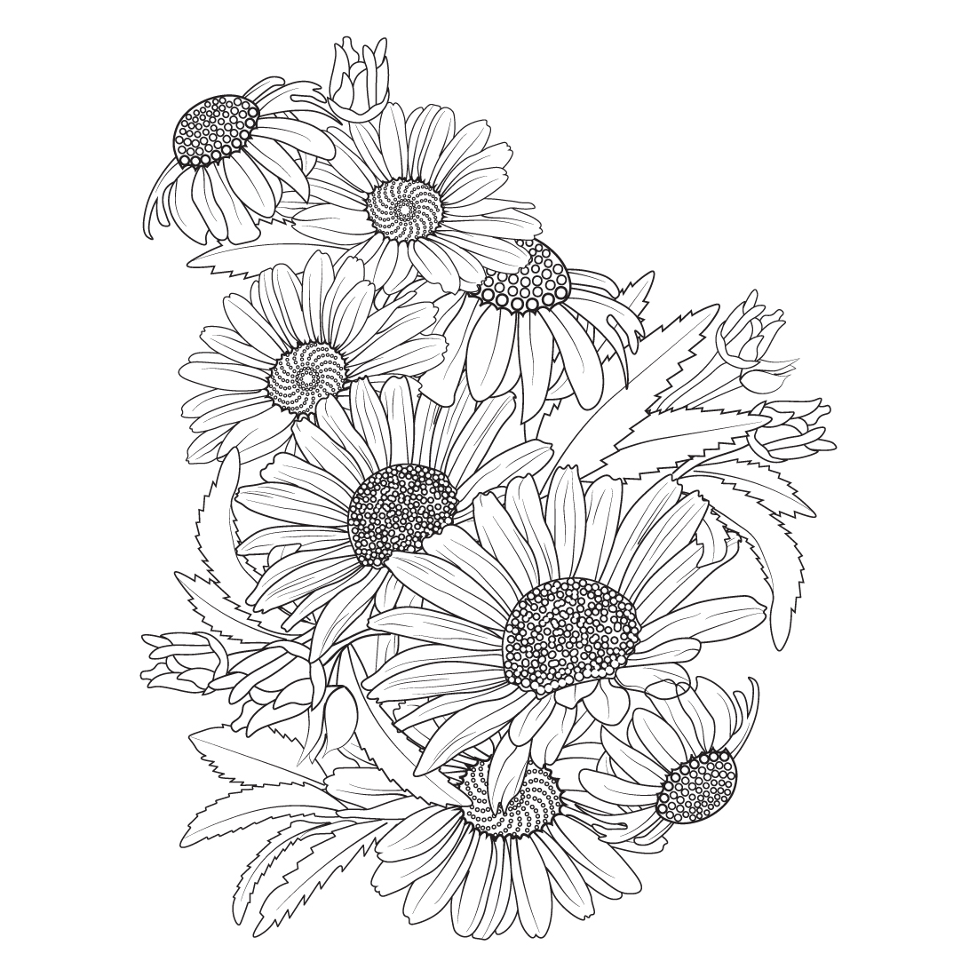 Daisy flower drawing realistic botanical daisy flower line art, gerbera daisy flower pencil art, preview image.