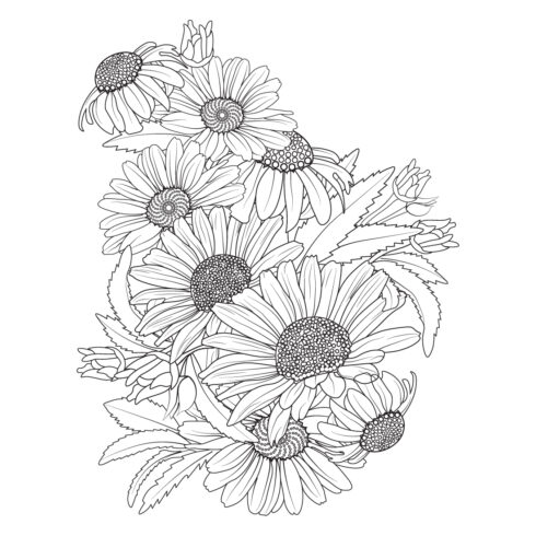 Daisy flower drawing realistic botanical daisy flower line art, gerbera daisy flower pencil art, cover image.