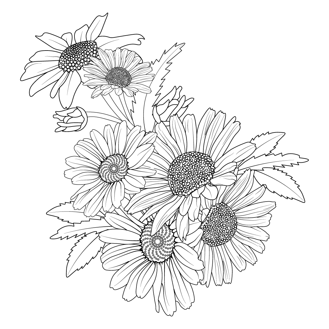daisy flower bouquet, daisy flower bouquet tattoo, line drawing daisy