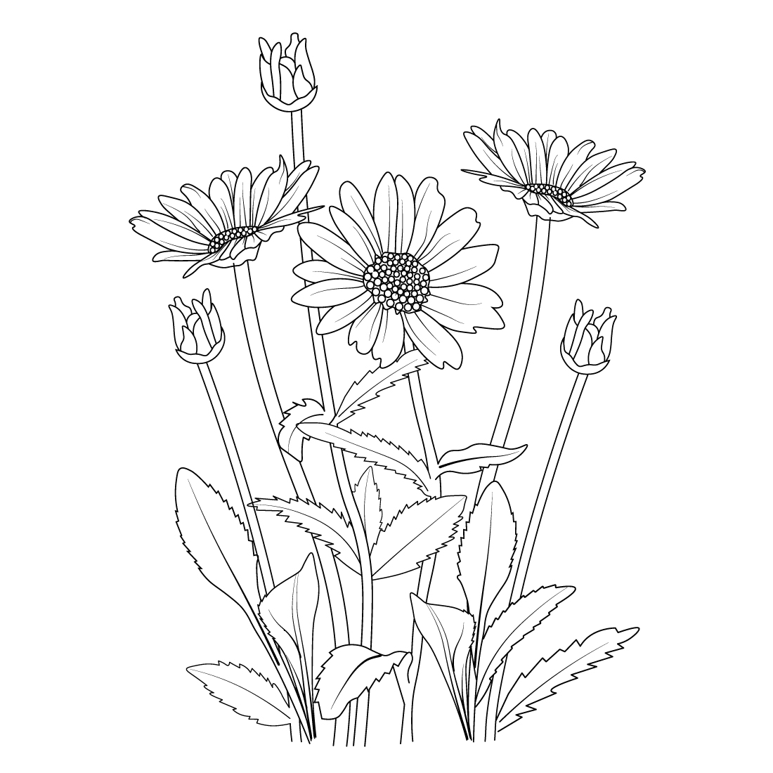 daisy flower branch vector line art, daisy drawing, daisy drawing outline preview image.