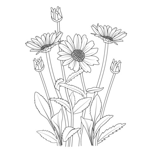 daisy flower branch vector line art, daisy drawing, daisy drawing outline cover image.