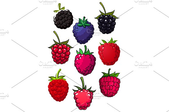 Red raspberry and blackberry fruits cover image.