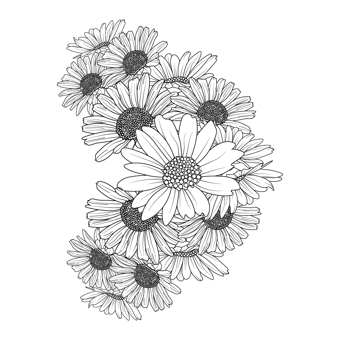 Daisy line drawing tattoo daisy flower drawing tattoo daisy line art, preview image.