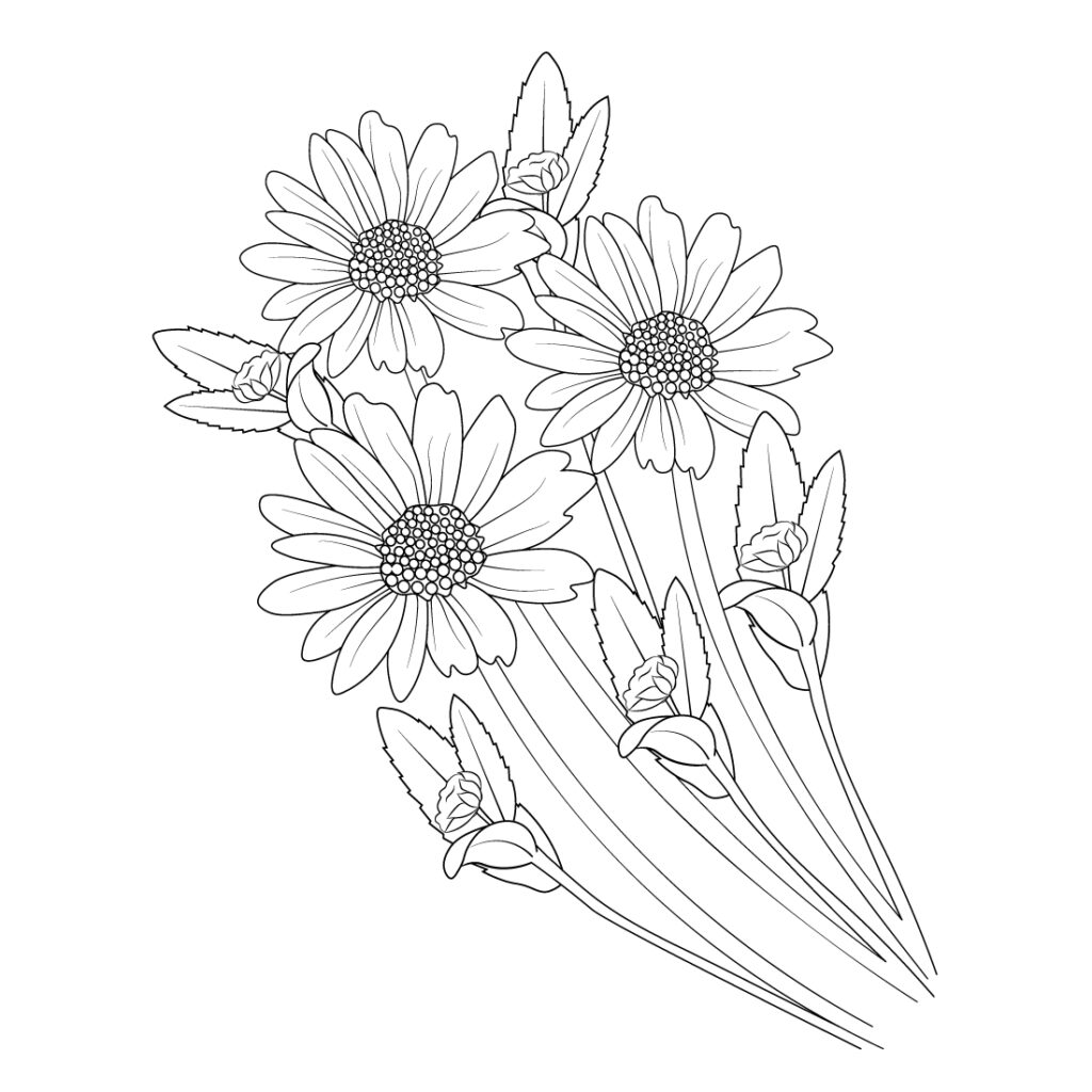 Daisy flower drawing. daisy flower vector art, daisy flower vector