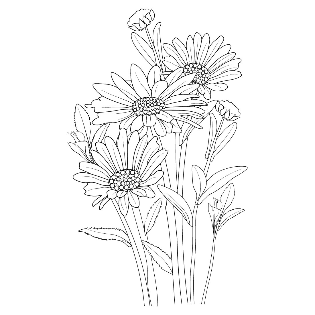 Beautiful monochrome hand-drawn daisy flower pencil art, daisy flower vector, preview image.
