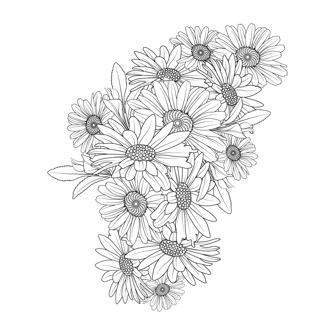 Illustration sketch contour bouquet of daisy flowers, gerbera daisy flower line art, preview image.