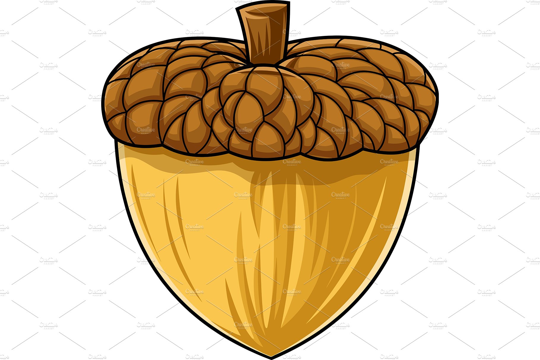 Cartoon Acorn In The Shell cover image.