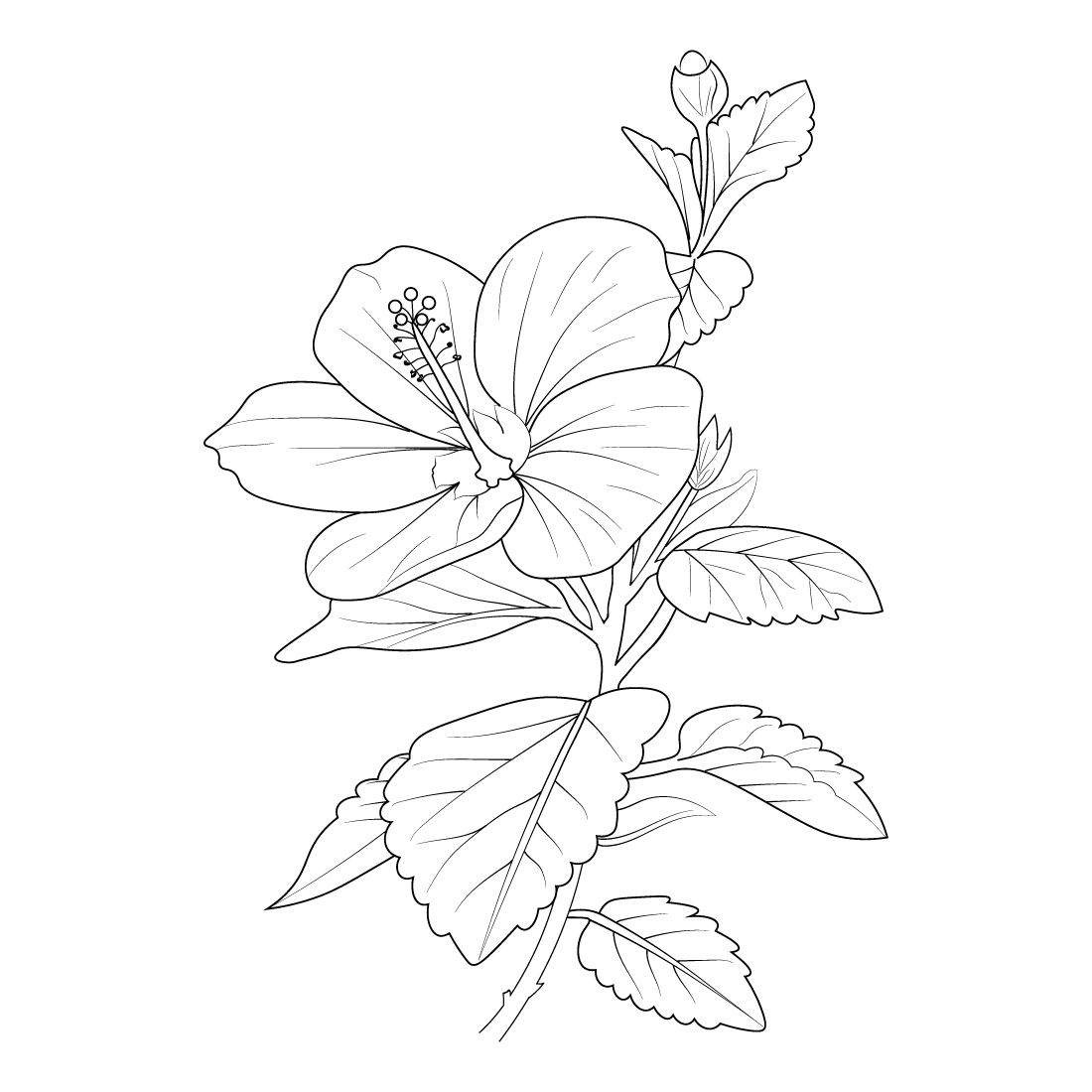 Hand Drawing Black and White Floral Doodles. Hawaii Hibiscus Flower Vector  Illustration. Design for Logo Stock Vector - Illustration of garden,  doodling: 179073078