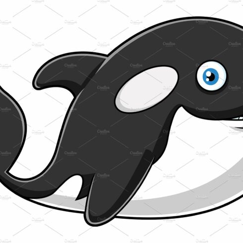 Happy Orca Or Killer Whale cover image.