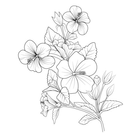 Blossom red hibiscus flower branch of botanical illustration, china rose flower drawing cover image.