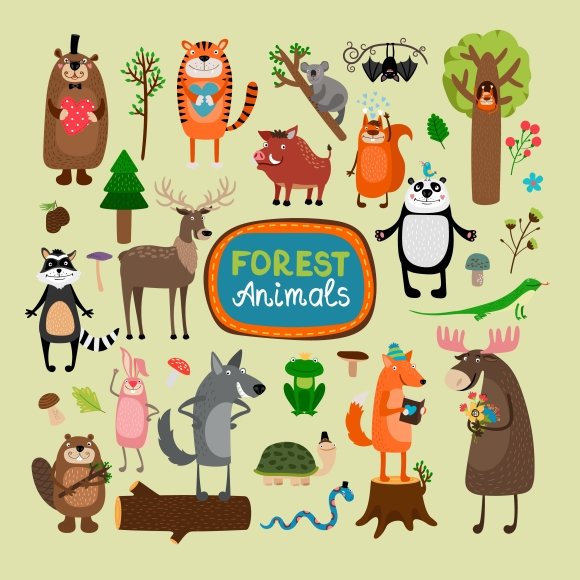 Vector forest animals cover image.