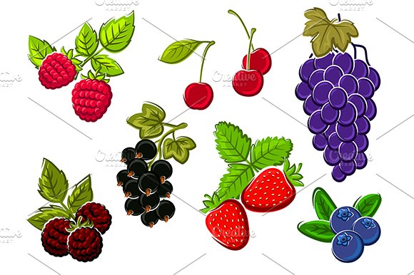 Ripe berry fruits set cover image.