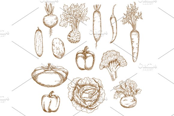 Sketch vegetables icons cover image.